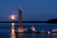 Acadia After Dark